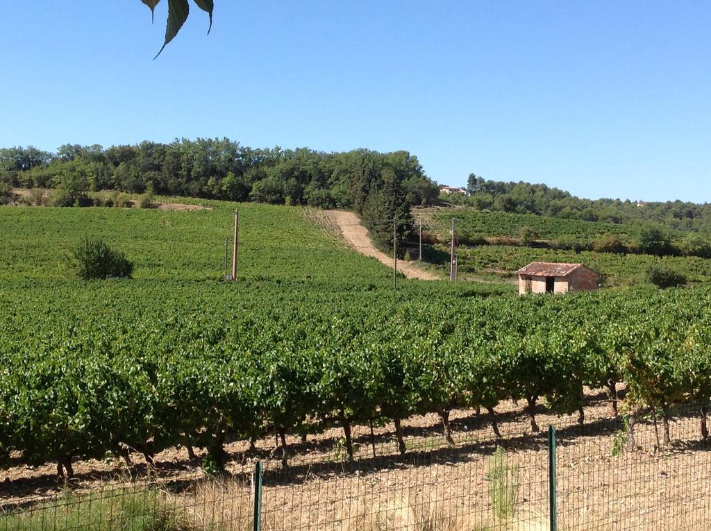 Jardin D'antan Bed & Breakfast